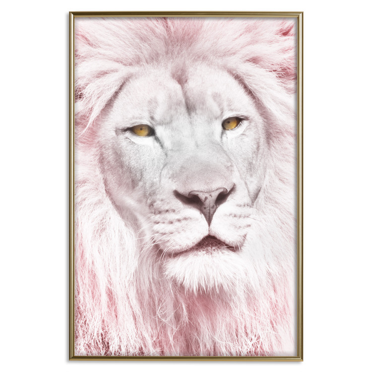 Wall Poster Beauty in Strength - reddened white lion portrait with yellow eyes 123052 additionalImage 20