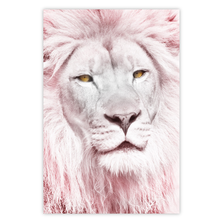 Wall Poster Beauty in Strength - reddened white lion portrait with yellow eyes 123052