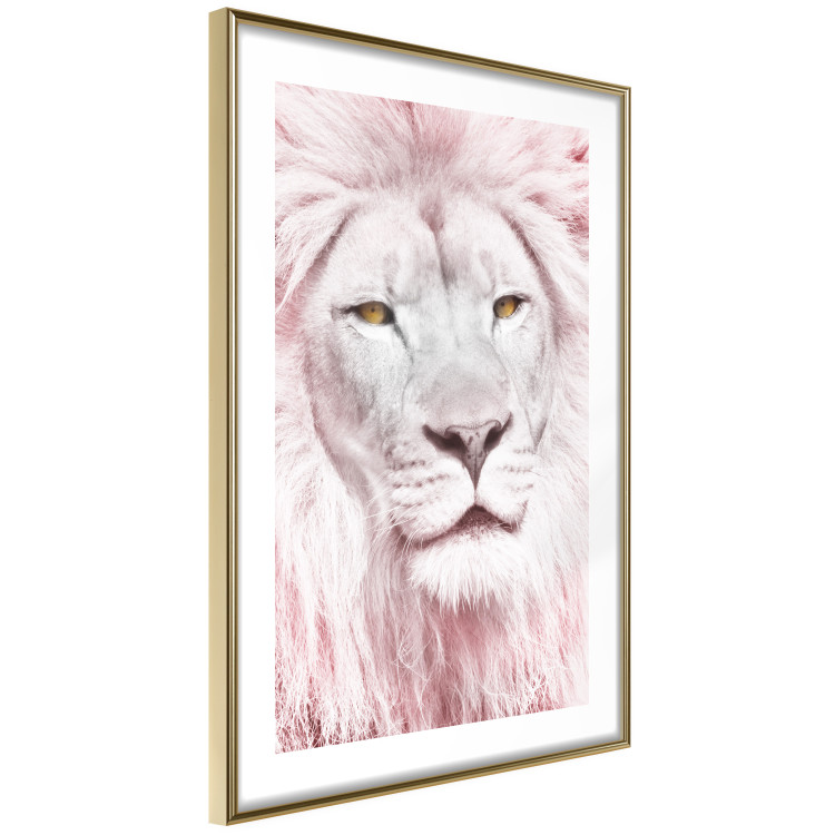 Wall Poster Beauty in Strength - reddened white lion portrait with yellow eyes 123052 additionalImage 6
