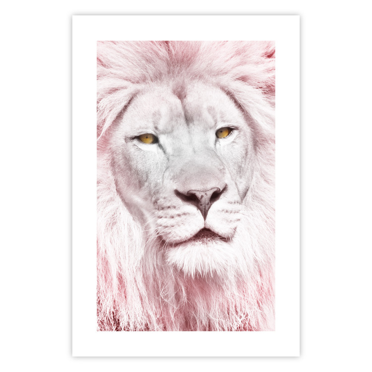 Wall Poster Beauty in Strength - reddened white lion portrait with yellow eyes 123052 additionalImage 25