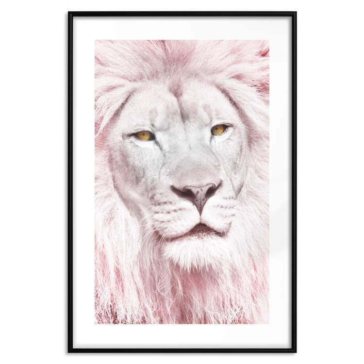 Wall Poster Beauty in Strength - reddened white lion portrait with yellow eyes 123052 additionalImage 17