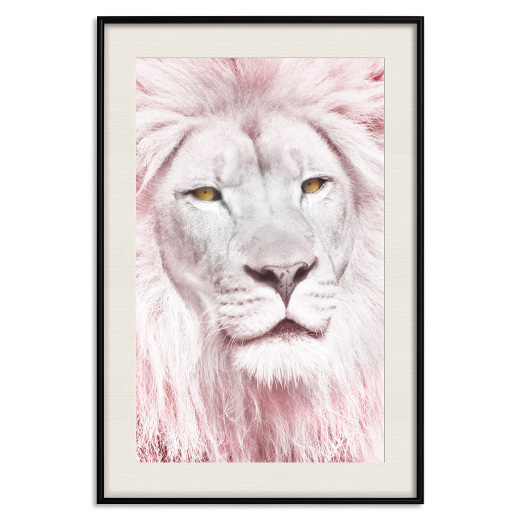 Wall Poster Beauty in Strength - reddened white lion portrait with yellow eyes 123052 additionalImage 18