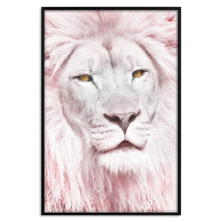 Wall Poster Beauty in Strength - reddened white lion portrait with yellow eyes 123052 additionalImage 24