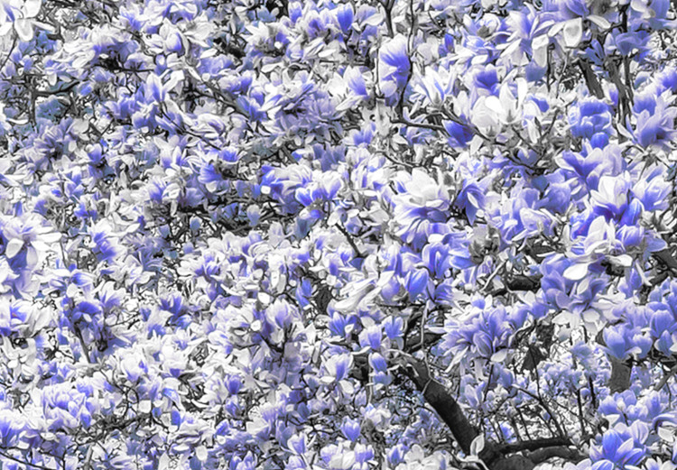 Large canvas print Magnolia Park - Violet II [Large Format] 128752 additionalImage 5