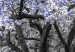 Large canvas print Magnolia Park - Violet II [Large Format] 128752 additionalThumb 4
