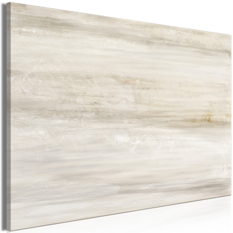 Canvas Print Sand secrets - Modern abstraction in shades of gray 137252 additionalImage 2