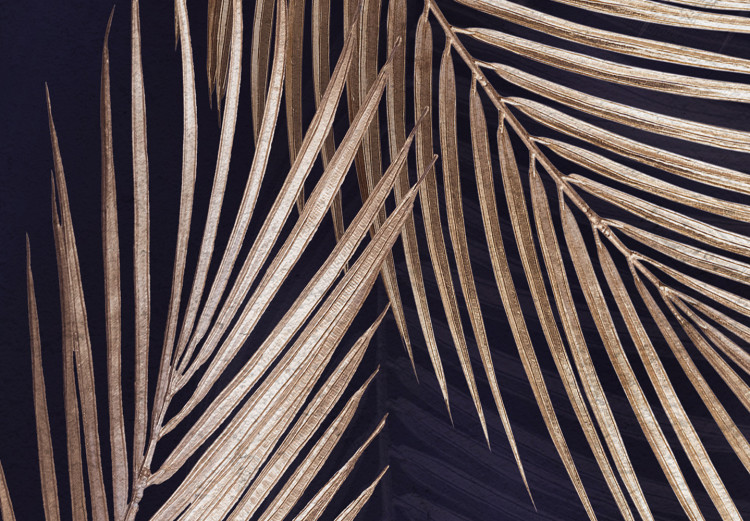Photo Wallpaper Palm leaves - tropical nature shown on a dark background 142252 additionalImage 4