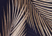 Photo Wallpaper Palm leaves - tropical nature shown on a dark background 142252 additionalThumb 4