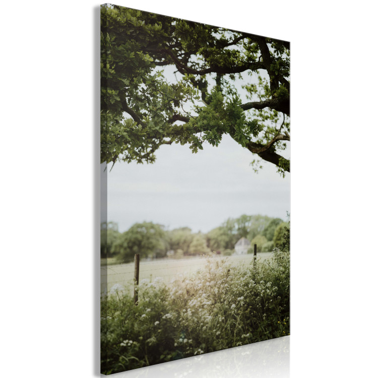 Canvas The Sun on the Meadow - Summer Landscape of Dense Vegetation 150052 additionalImage 2