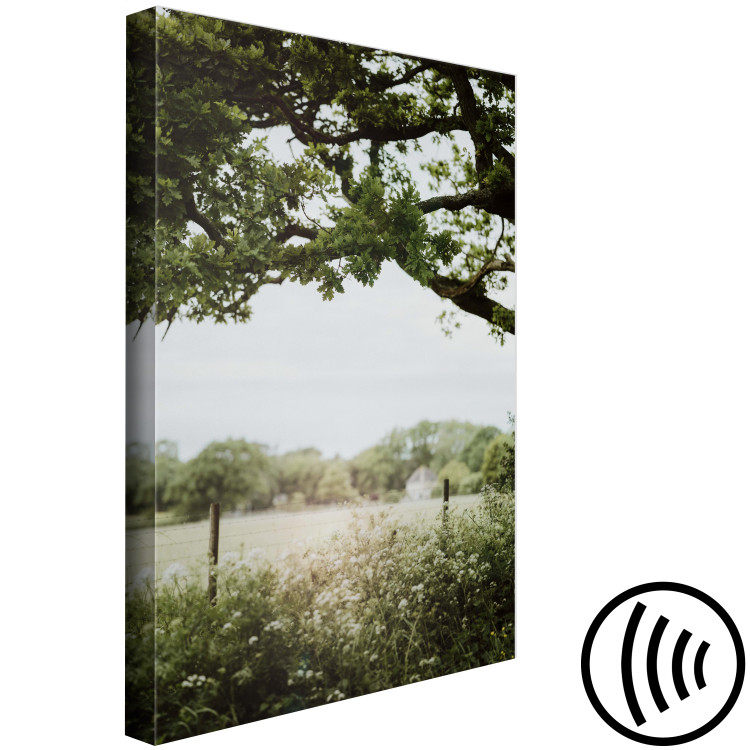 Canvas The Sun on the Meadow - Summer Landscape of Dense Vegetation 150052 additionalImage 6