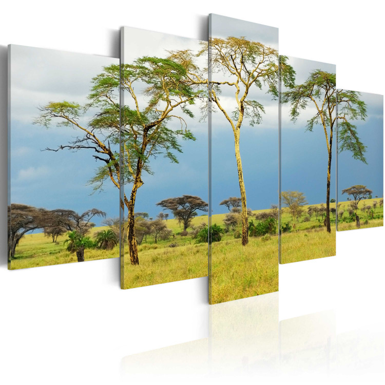 Canvas Art Print African greenery 58652 additionalImage 2