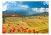 Wall Mural Italian Tuscany - Landscape of Countryside with Trees on Golden Meadows 59852 additionalThumb 1