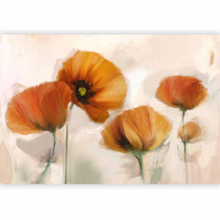 Wall Mural Poppies - Vintage and Landscape with Composition of Red Flowers on a Light Background 60652 additionalImage 1