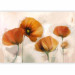 Wall Mural Poppies - Vintage and Landscape with Composition of Red Flowers on a Light Background 60652 additionalThumb 1