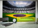 Photo Wallpaper Brazilian Football - Soccer stadium with the Brazilian flag on the field 61152