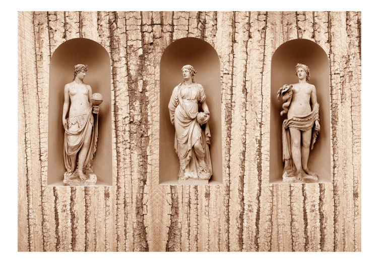 Wall Mural Cultural Blend - three ancient figures on retro-style wooden backdrop 61952 additionalImage 1