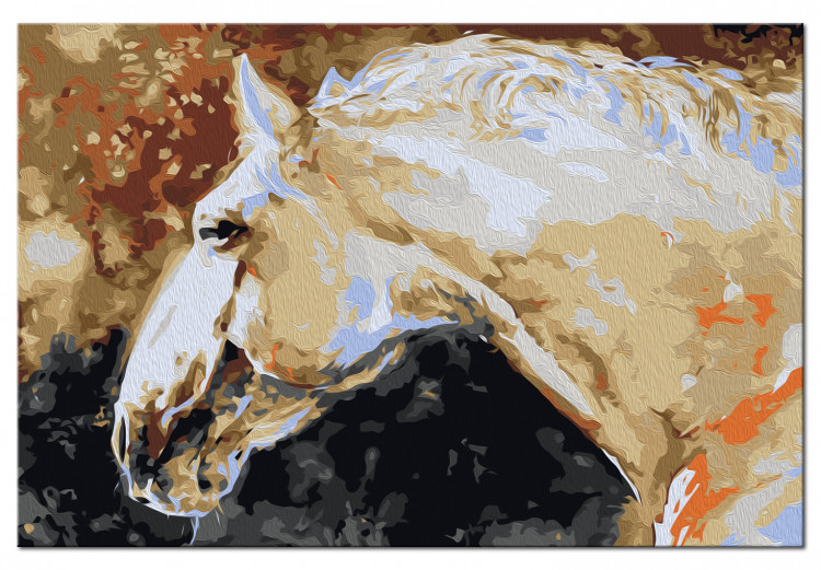 Paint by number White Horse 107162 additionalImage 6