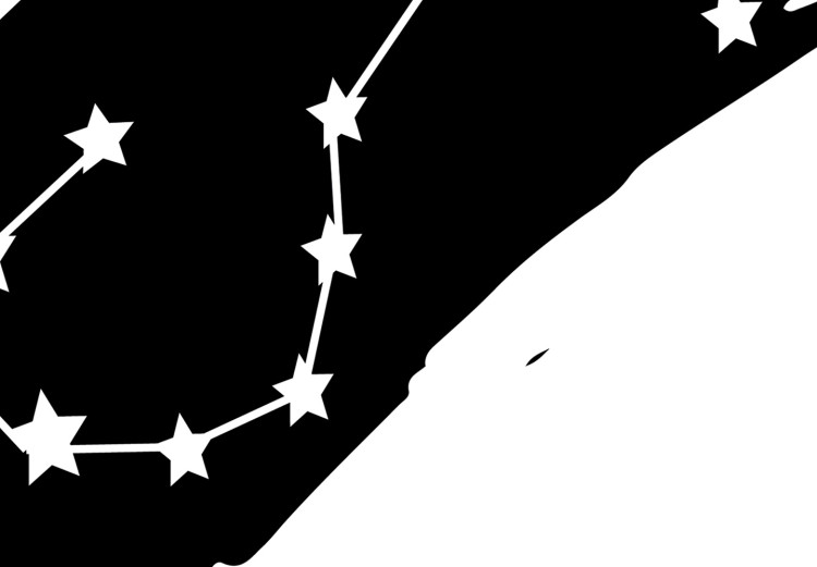 Wall Poster Zodiac signs: Scorpio - black and white star constellation and texts 114862 additionalImage 9