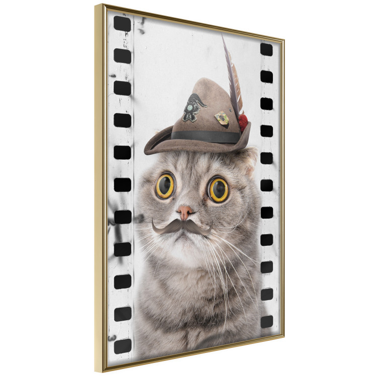 Poster Cat in a Hat - funny yellow-eyed animal with a mustache on film tape 116362 additionalImage 12