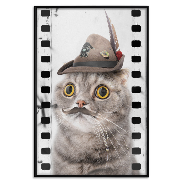 Poster Cat in a Hat - funny yellow-eyed animal with a mustache on film tape 116362 additionalImage 18