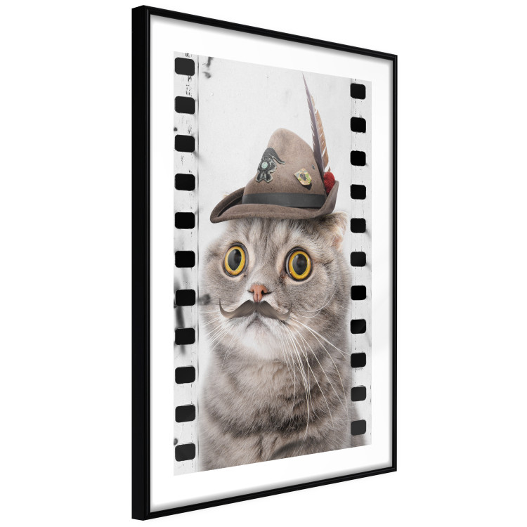Poster Cat in a Hat - funny yellow-eyed animal with a mustache on film tape 116362 additionalImage 11