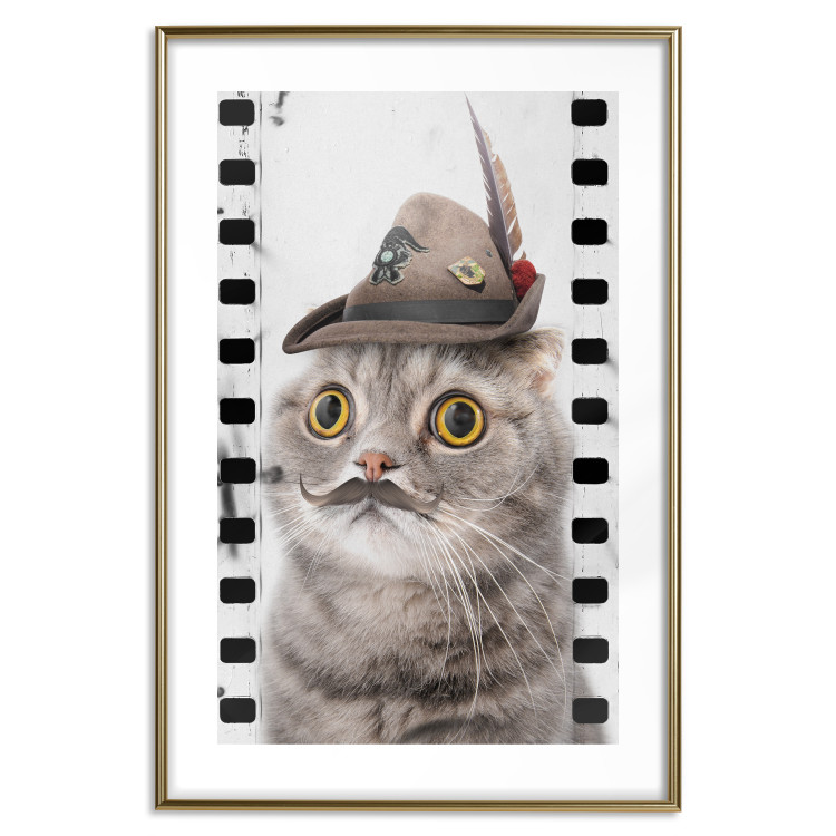 Poster Cat in a Hat - funny yellow-eyed animal with a mustache on film tape 116362 additionalImage 14