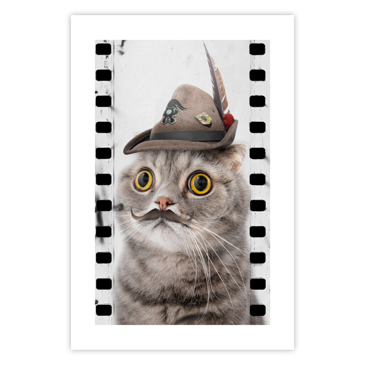 Poster Cat in a Hat - funny yellow-eyed animal with a mustache on film tape 116362 additionalImage 19