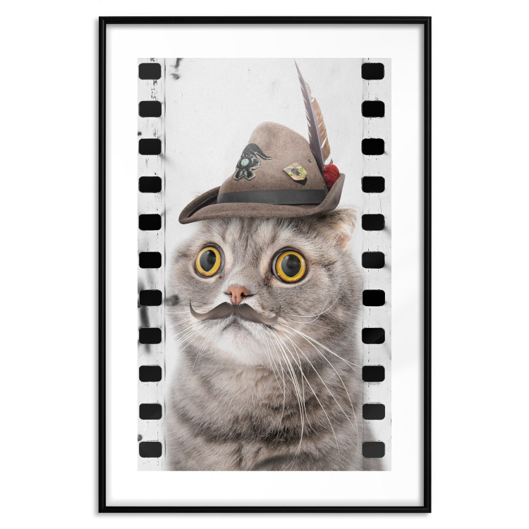 Poster Cat in a Hat - funny yellow-eyed animal with a mustache on film tape 116362 additionalImage 15