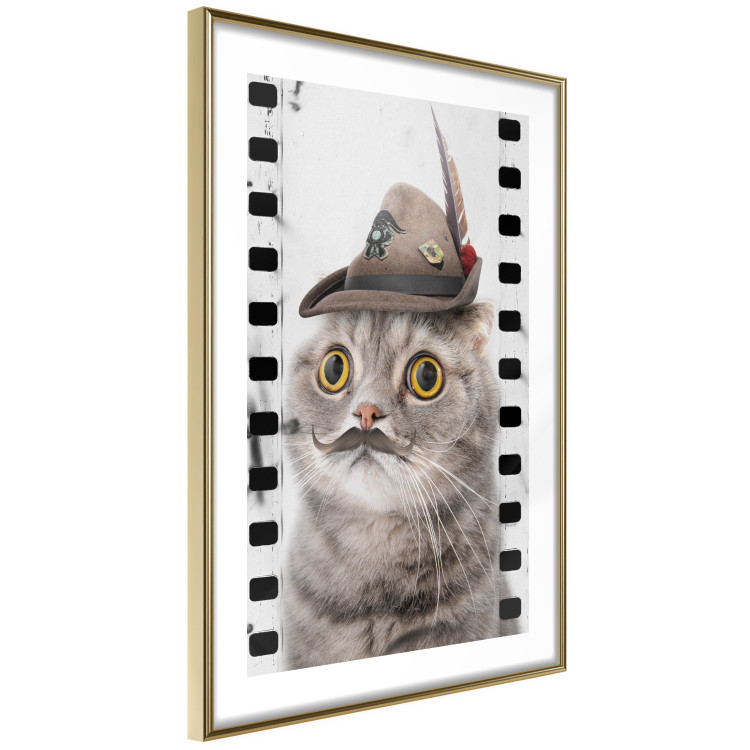 Poster Cat in a Hat - funny yellow-eyed animal with a mustache on film tape 116362 additionalImage 6
