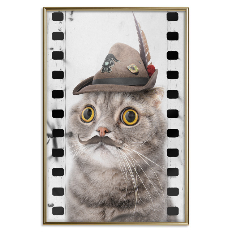 Poster Cat in a Hat - funny yellow-eyed animal with a mustache on film tape 116362 additionalImage 16