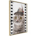 Poster Cat in a Hat - funny yellow-eyed animal with a mustache on film tape 116362 additionalThumb 12