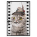 Poster Cat in a Hat - funny yellow-eyed animal with a mustache on film tape 116362 additionalThumb 18