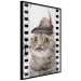 Poster Cat in a Hat - funny yellow-eyed animal with a mustache on film tape 116362 additionalThumb 10
