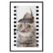 Poster Cat in a Hat - funny yellow-eyed animal with a mustache on film tape 116362 additionalThumb 15