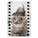 Poster Cat in a Hat - funny yellow-eyed animal with a mustache on film tape 116362