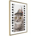 Poster Cat in a Hat - funny yellow-eyed animal with a mustache on film tape 116362 additionalThumb 6