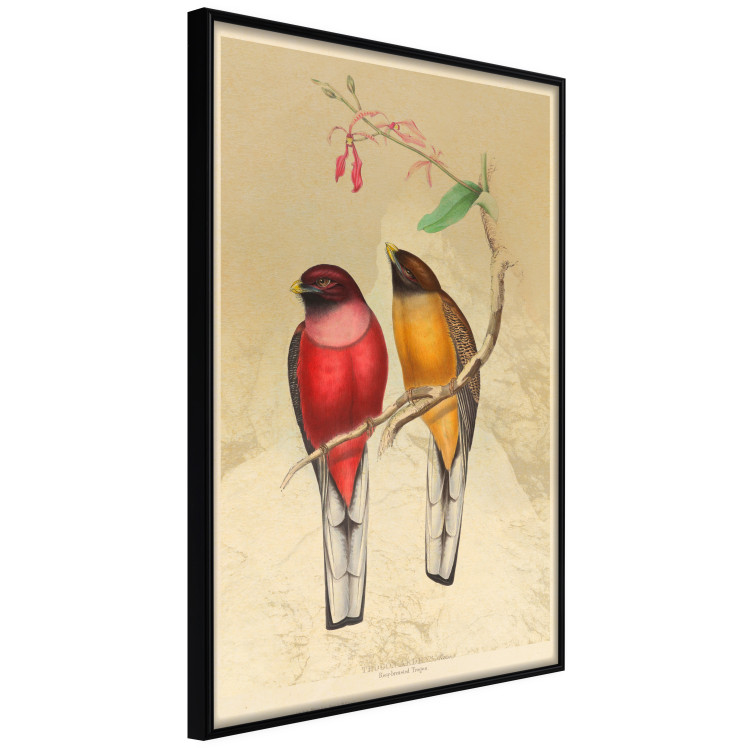 Wall Poster Birds on Branch - colorful composition with a green leaf and a flower 116662 additionalImage 10