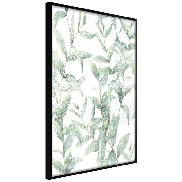 Poster Subtle Rustle - botanical composition with delicate green leaves 118262 additionalImage 10