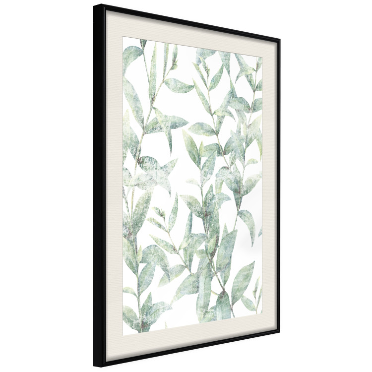 Poster Subtle Rustle - botanical composition with delicate green leaves 118262 additionalImage 3