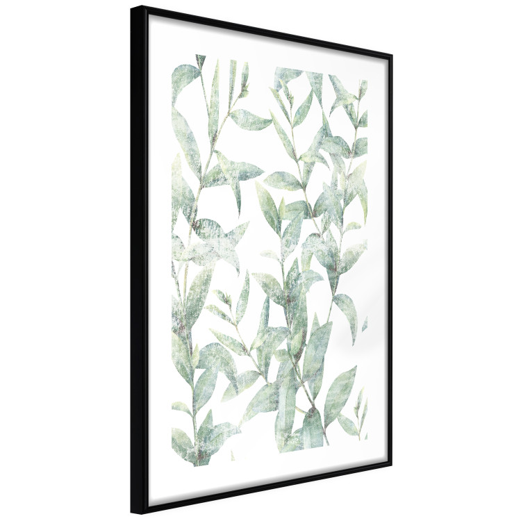 Poster Subtle Rustle - botanical composition with delicate green leaves 118262 additionalImage 13