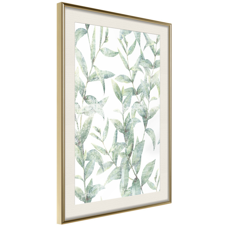 Poster Subtle Rustle - botanical composition with delicate green leaves 118262 additionalImage 2