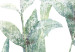 Poster Subtle Rustle - botanical composition with delicate green leaves 118262 additionalThumb 9