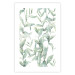 Poster Subtle Rustle - botanical composition with delicate green leaves 118262 additionalThumb 25