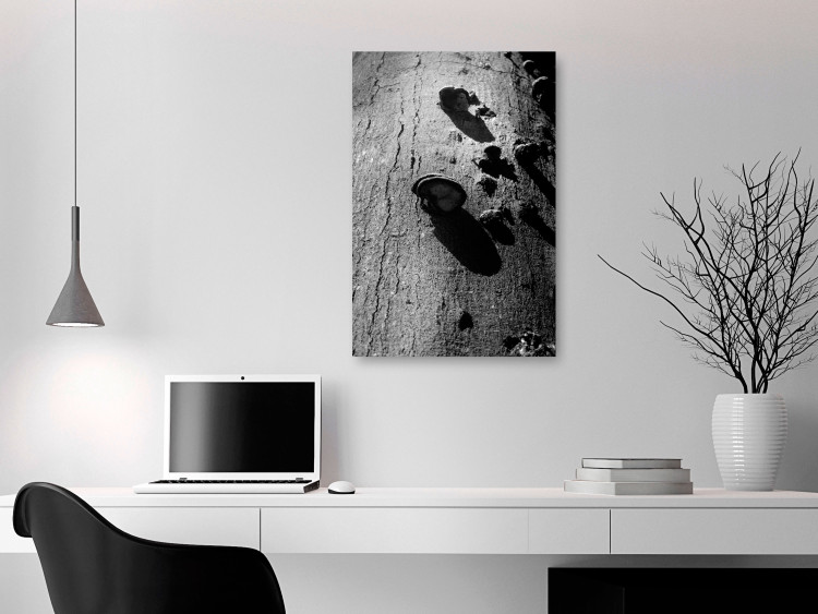 Canvas Art Print Forest balance - black and white photography with a detail of a tree 122362 additionalImage 3