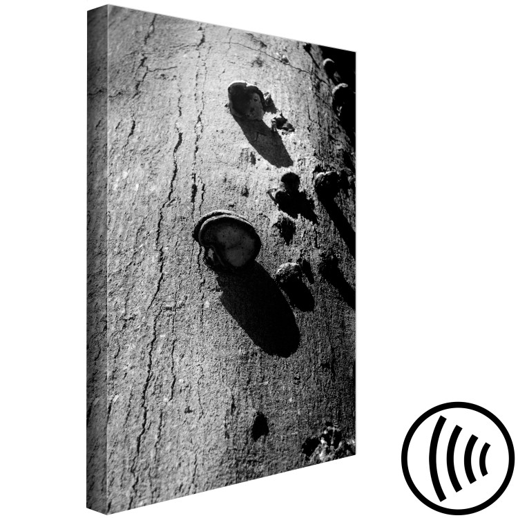 Canvas Art Print Forest balance - black and white photography with a detail of a tree 122362 additionalImage 6