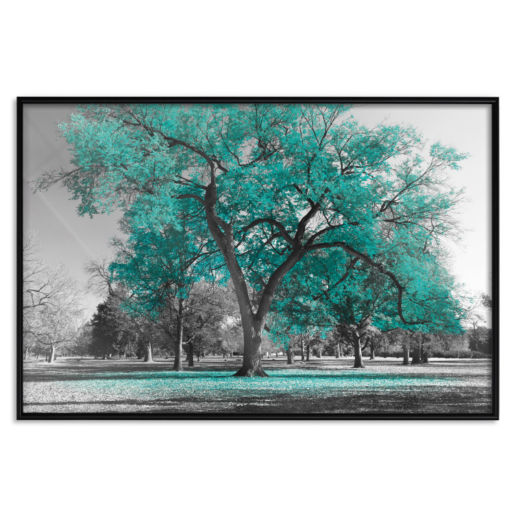 Wall Poster Autumn in the Park (Turquoise) - gray autumn tree and turquoise leaves 122762 additionalImage 24