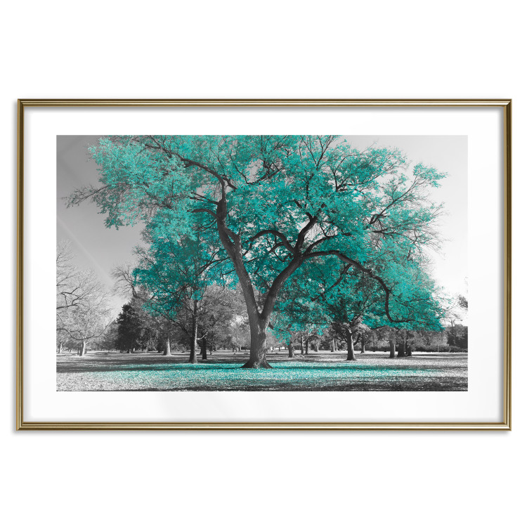 Wall Poster Autumn in the Park (Turquoise) - gray autumn tree and turquoise leaves 122762 additionalImage 14