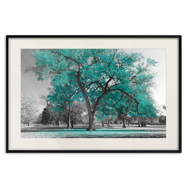 Wall Poster Autumn in the Park (Turquoise) - gray autumn tree and turquoise leaves 122762 additionalImage 18