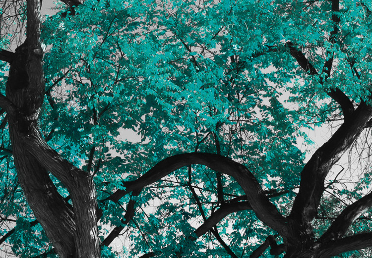 Wall Poster Autumn in the Park (Turquoise) - gray autumn tree and turquoise leaves 122762 additionalImage 3