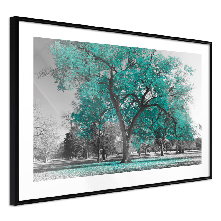 Wall Poster Autumn in the Park (Turquoise) - gray autumn tree and turquoise leaves 122762 additionalImage 12